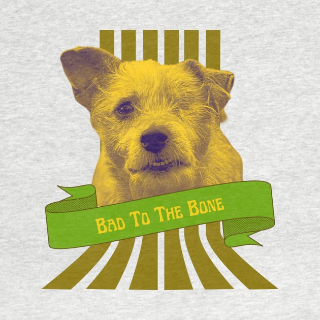 Bad to the bone one eyed dog by happygreen